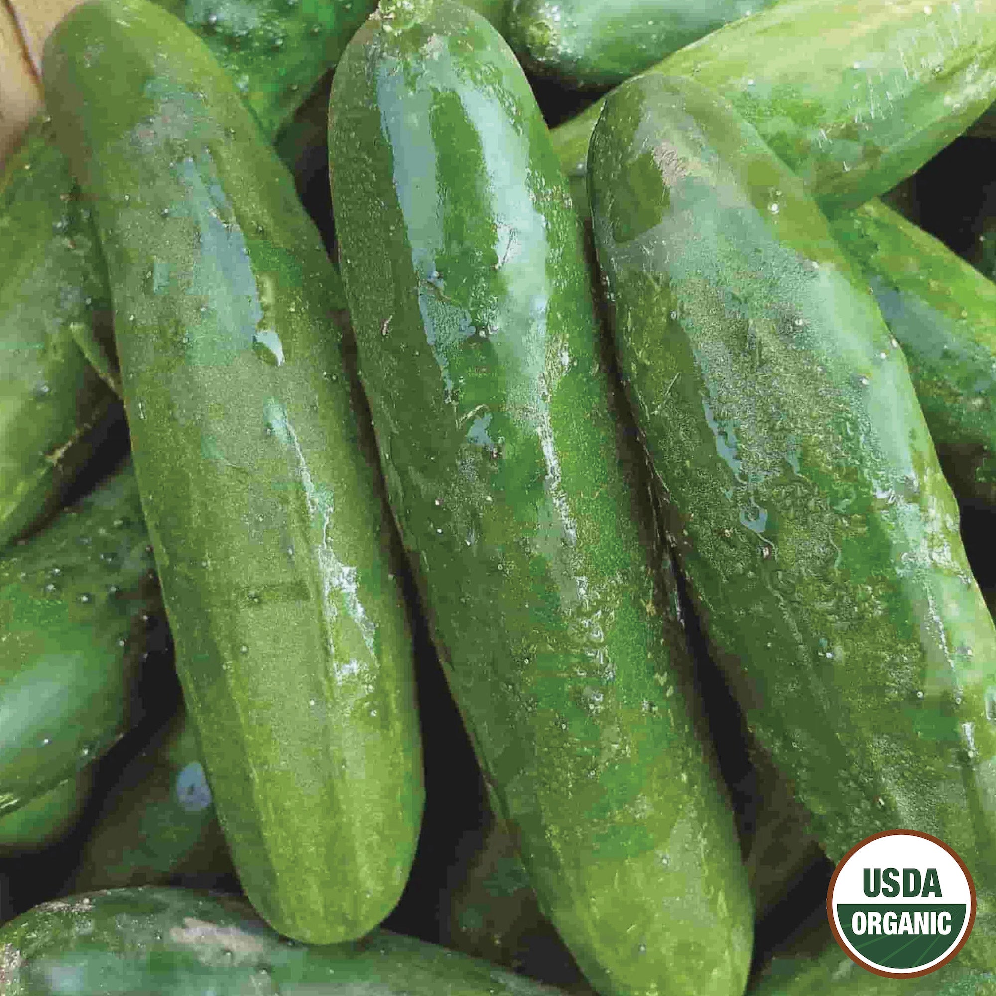 A pile of fresh, green cucumbers with the USDA Organic label visible in the image.